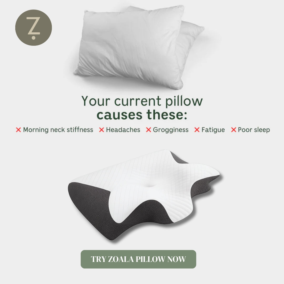 Zoala Recovery Pillow